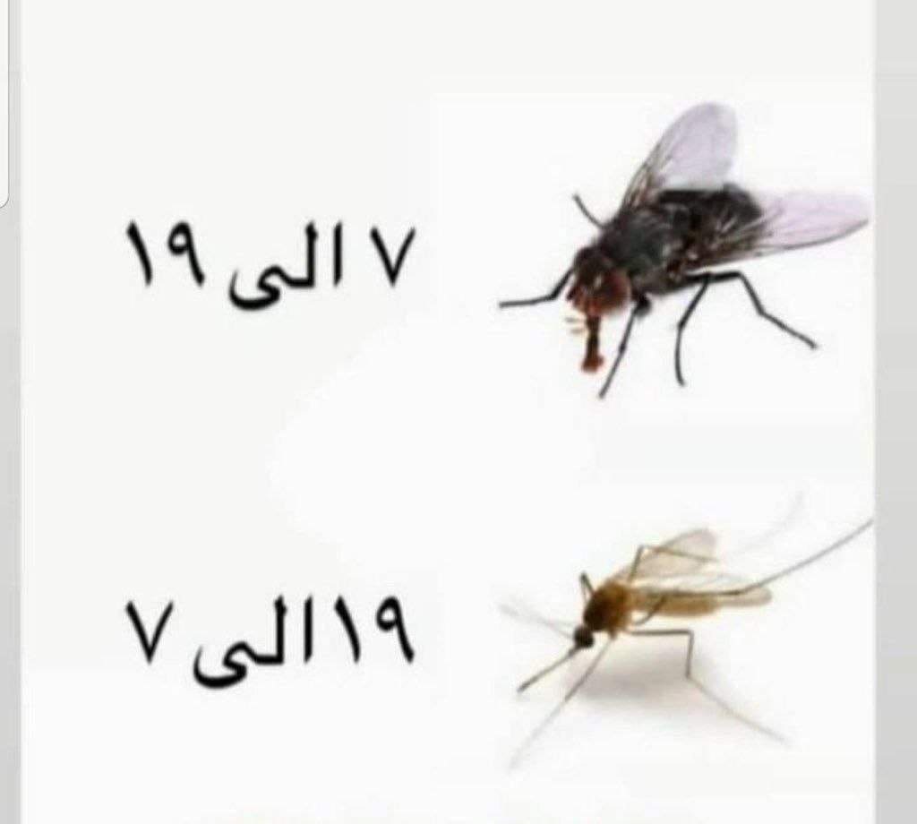 شروع کار دو چهره فضای مجازی سوژه کاربران شد