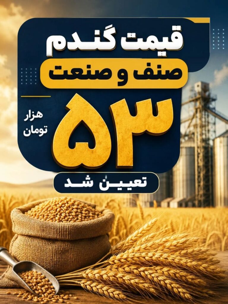 قیمت گندم صنف و صنعت در سال ۱۴۰۵ اعلام شد / هر کیلو ۵۳ هزار تومان