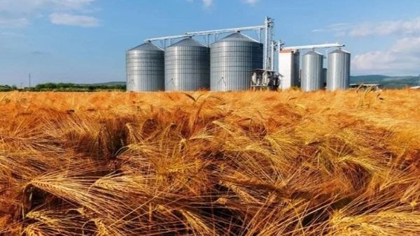 دادستانی گلستان: تخلیه فوری گندم از سیلوهای فاقد صلاحیت الزامی است