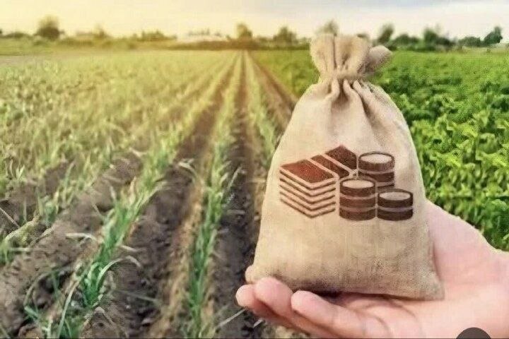سایه قبض ۴۰۰ میلیونی بر سر کشاورزان؛ افزایش پلکانی تعرفه برق لغو شد